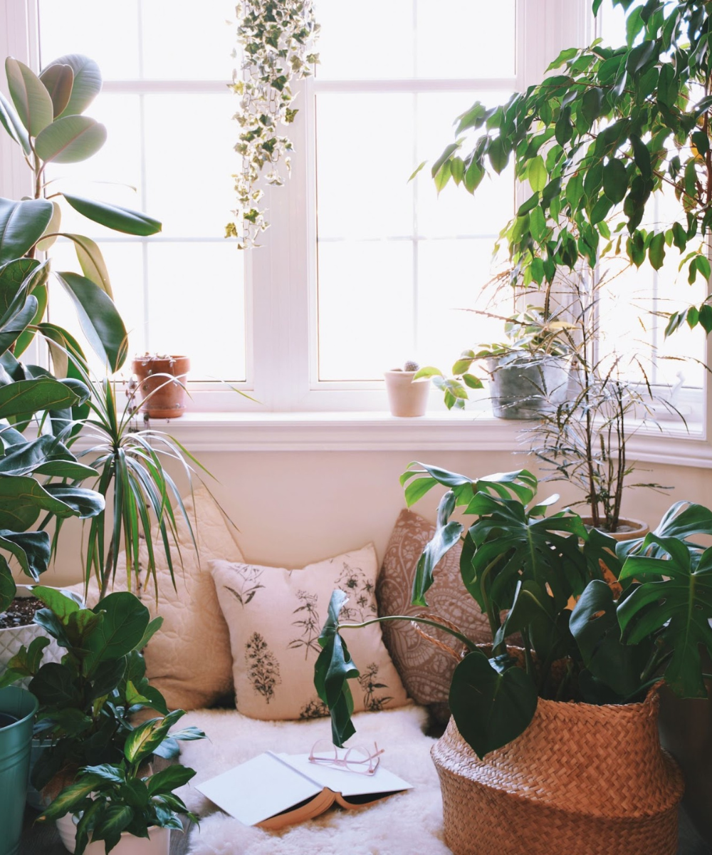 Um cantinho acolhedor com almofadas, plantas verdes e luz natural, criando uma atmosfera de casa aconchegante.
