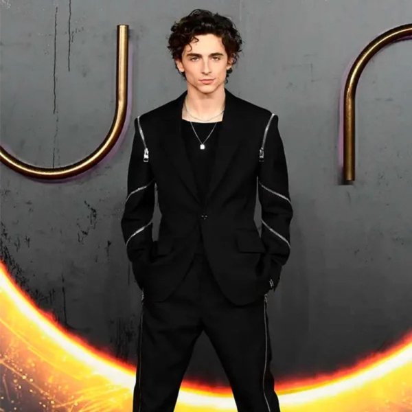 Os melhores looks do Timothée Chalamet nos últimos meses