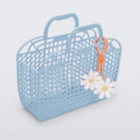 Mini Melissa Refraction