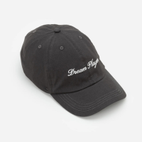 Boné Aba Curva com Bordado Dream Player Cinza