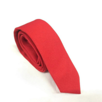 Gravata Vermelha Slim FIT FOSCA Casamento Congressos Festividades