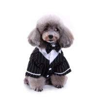 Fato De Noiva Para Cão Tuxedo Listrado Roupas Shih Tzu Macho Com Camisa Bow