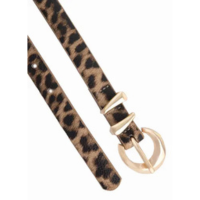 Cinto Feminino oncinha onça animal print fivela blogueira - Envelope de Alg