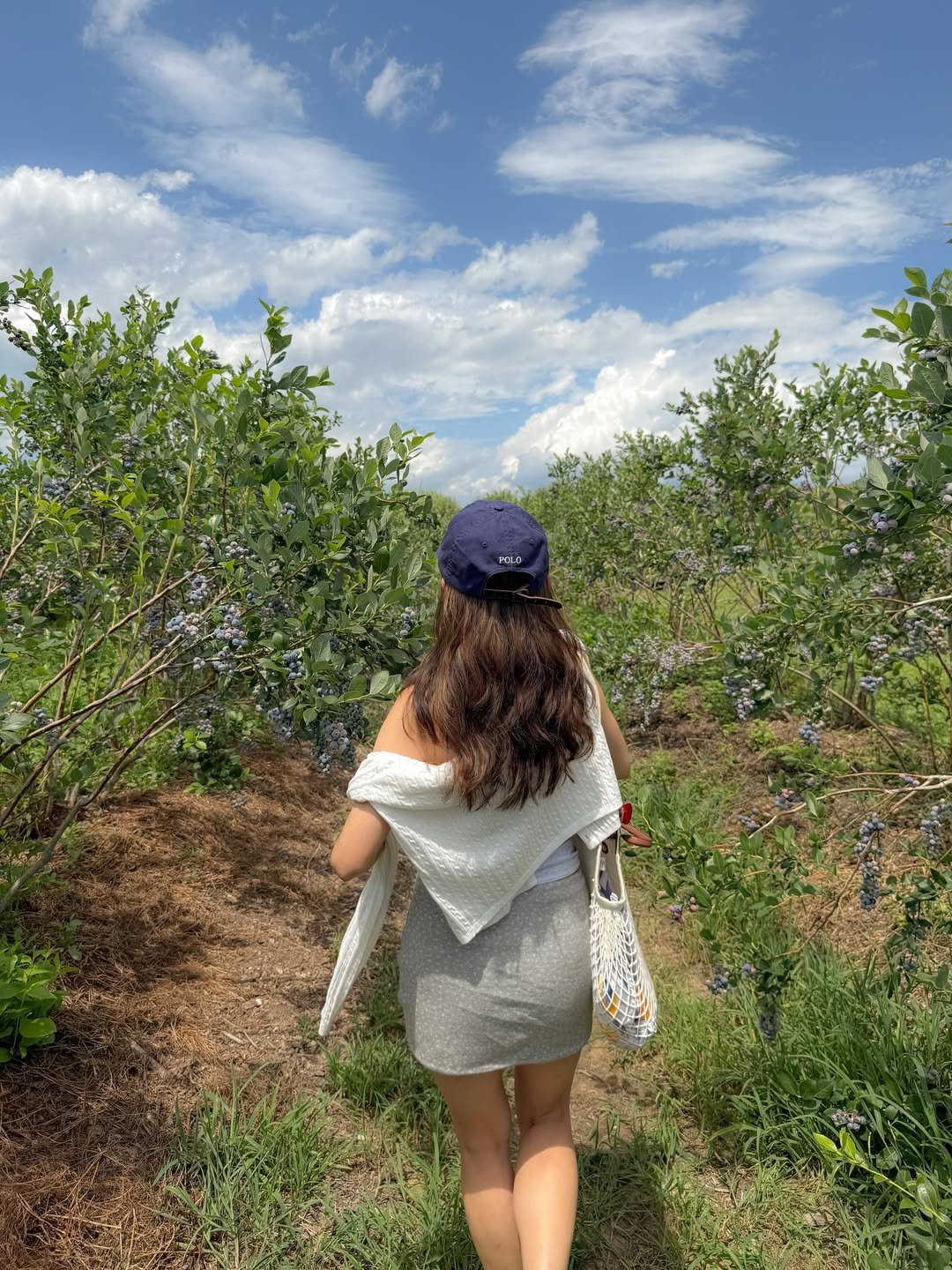 Mulher de cabelo ondulado explorando campo de arbustos sob céu azul. Ela usa boné e carrega bolsa de rede.
