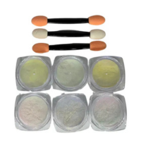 Pó Asa De Borboleta Brancos C6 E Pincel Para Nail Art - Aqui tem Guria