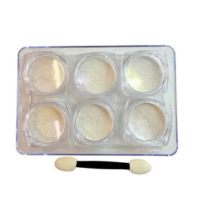 Pó Asa De Borboleta C6 E Pincel Para Nail Art - Fada Color