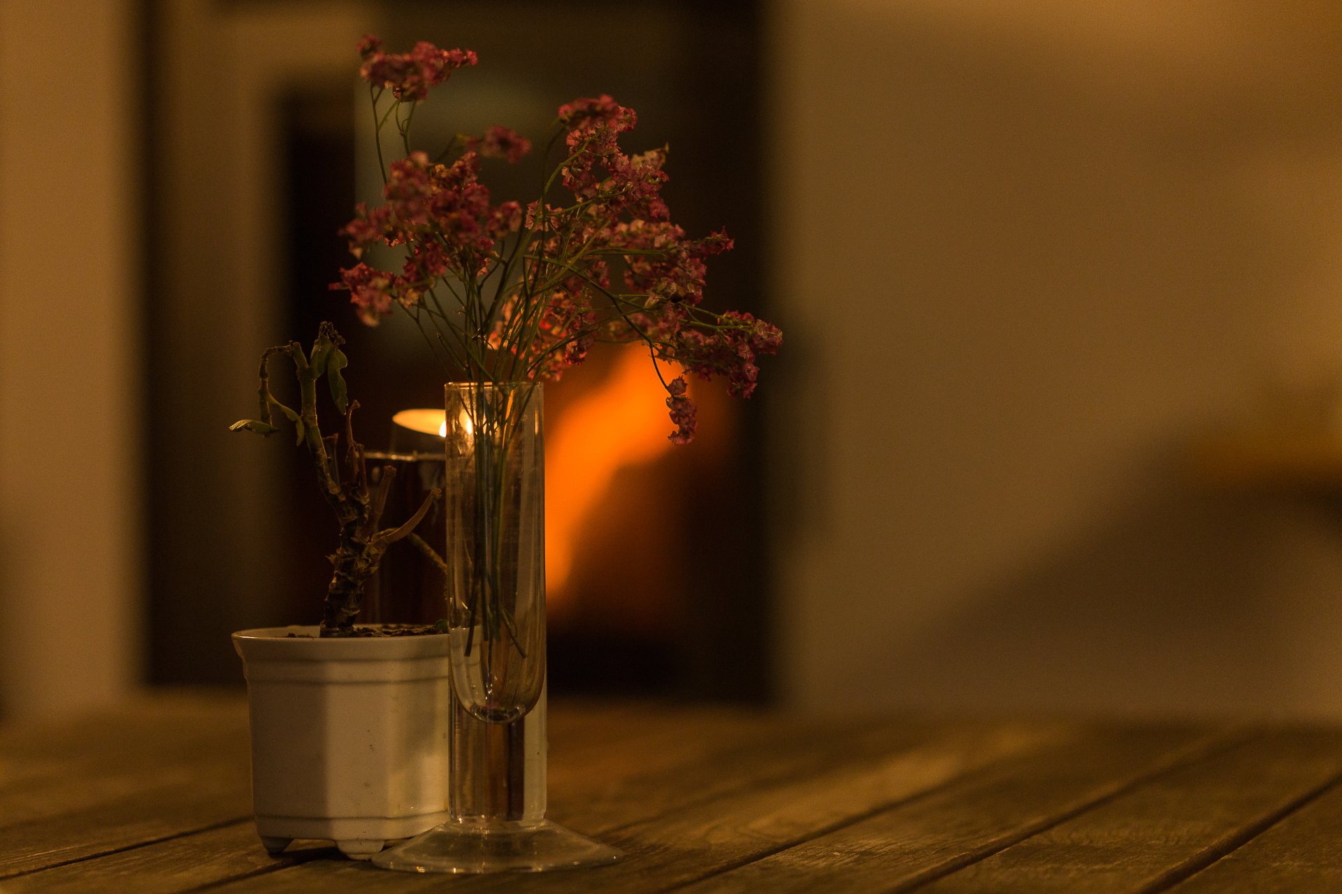 Flores em vaso de vidro e planta em vaso branco sobre mesa de madeira, criando conforto sensorial com luz suave ao fundo.