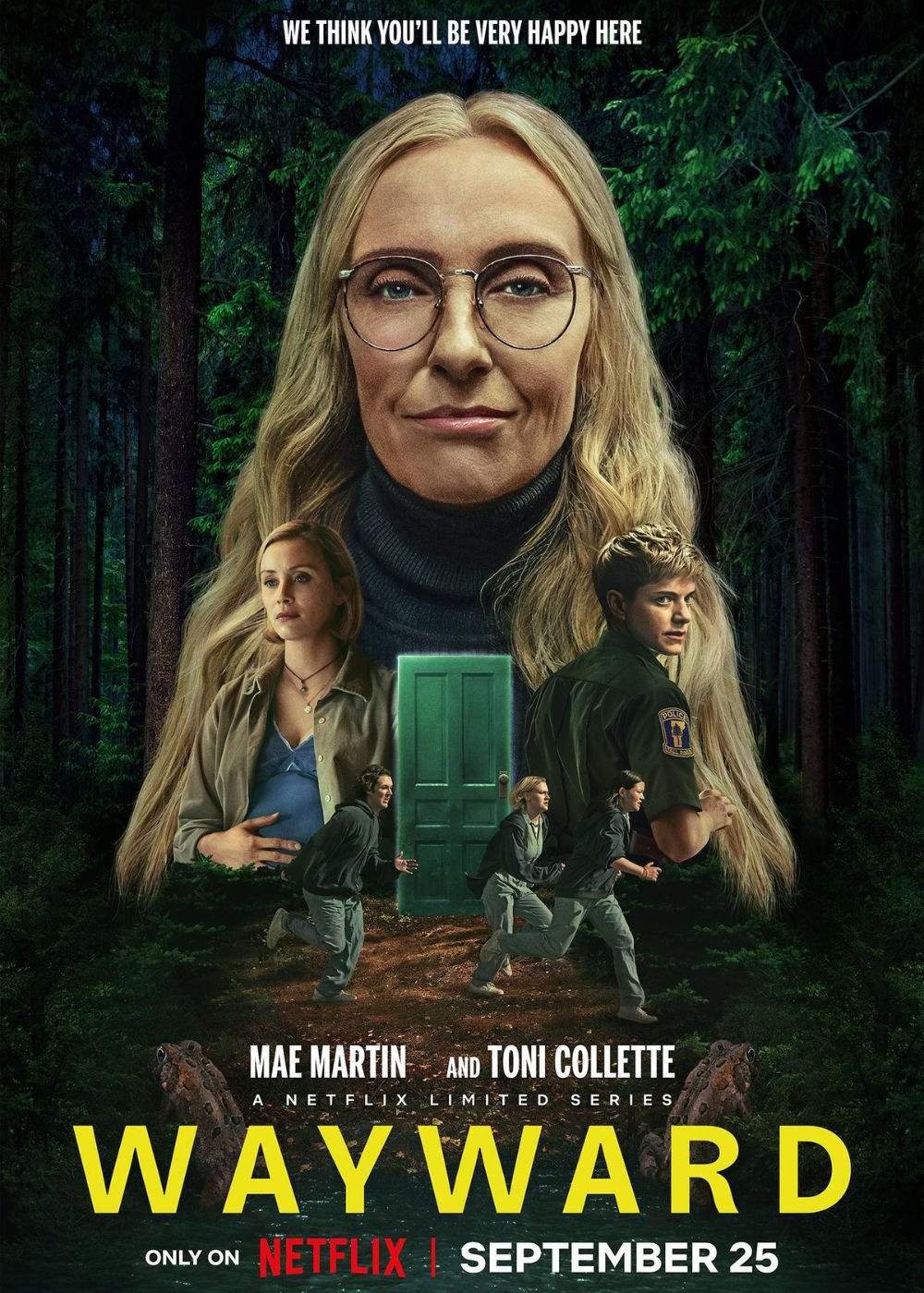 Cartaz da série