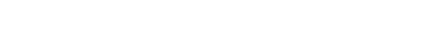 Logo Steal The Look