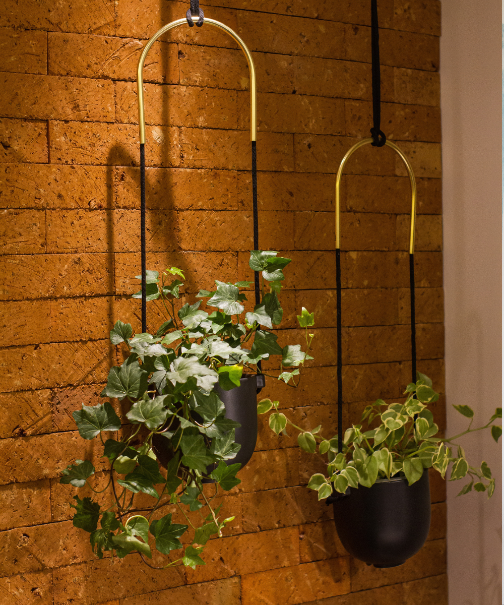 Plantas penduradas em vasos pretos contra parede de tijolos, destacando as cores naturais na decoração.