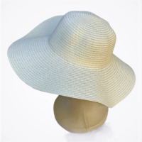 Chapéu floppy de praia feminino aba larga várias cores pronta entrega