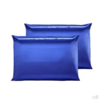 Kit 02 Fronhas De Cetim (01 Par) Anti Frizz Macio 50cm x 70cm Com Zíper - N