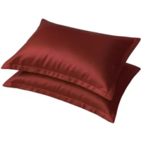 Kit 2 Fronhas de Cetim Toque Seda Luxo Antifrizz 50x70 cm 4 Aba Capa Para T