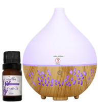 Umidificador de Ar e difusor de aromas quarto bebe USB 160ml com 1 Óleo Aro