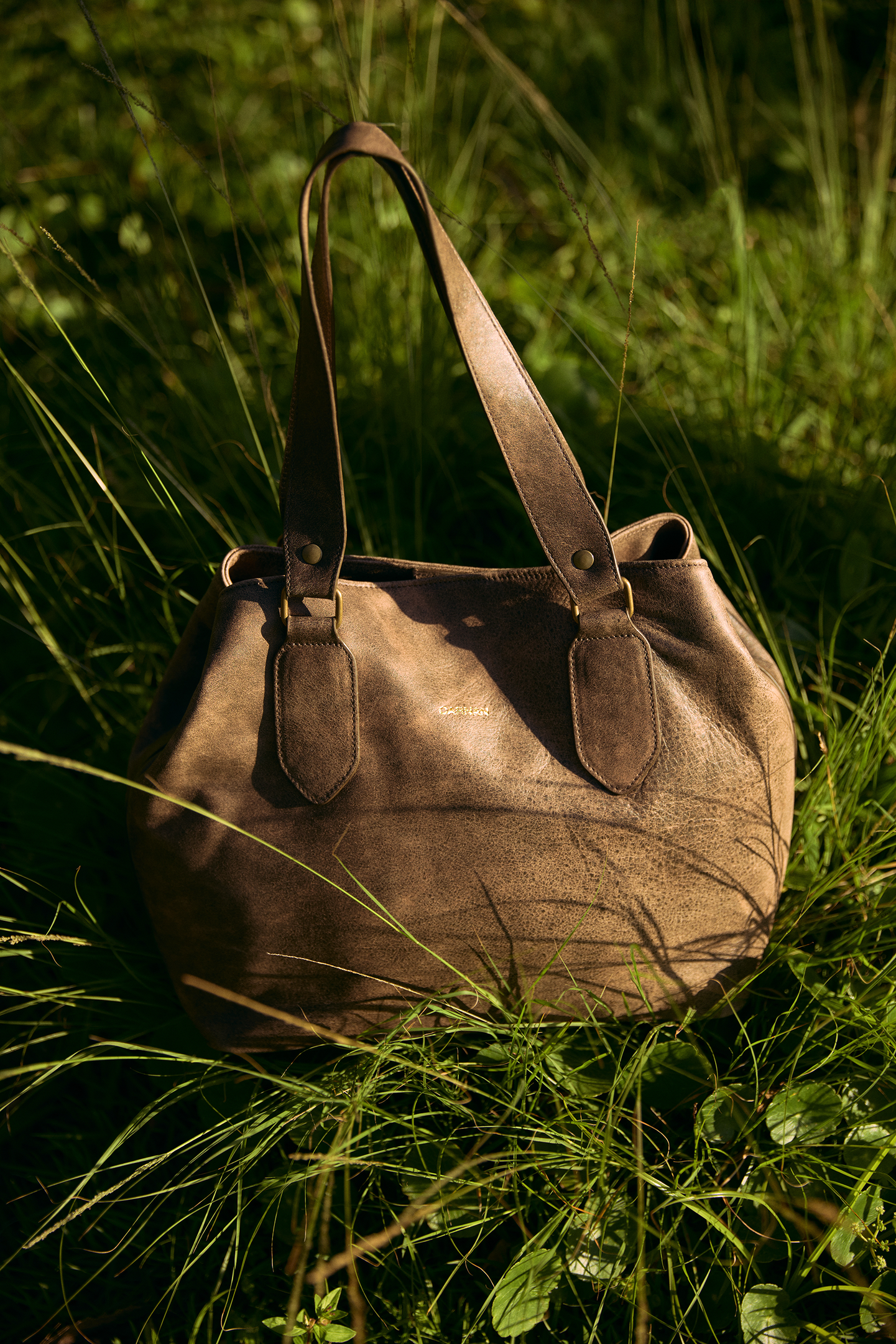 Verão 2026 da Carnan