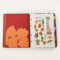 Fichário Tropical Orquídea