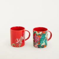 Kit Par De Jarro Orquidário