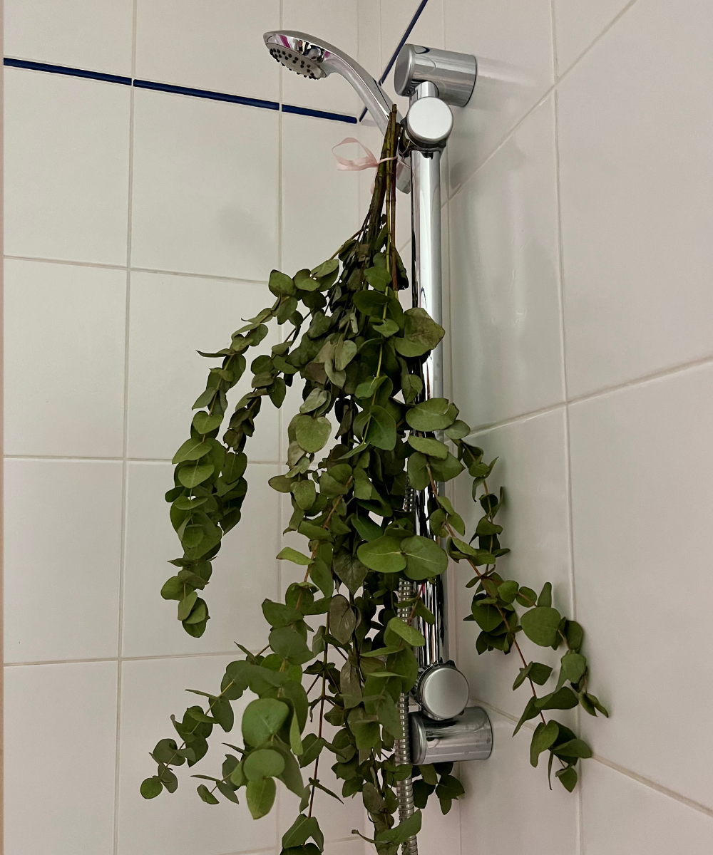 Banho premium com chuveiro cromado e ramo de folhas verdes pendurado, criando ambiente relaxante e sofisticado.