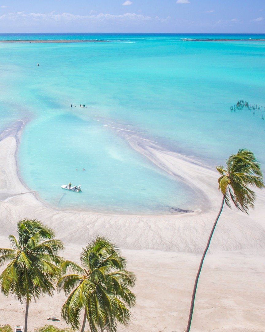 Praia de areia clara e mar azul turquesa com coqueiros ao vento, cenário perfeito para o guia do verão brasileiro.