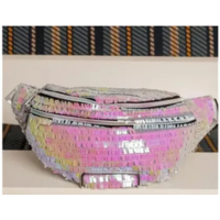 Pochete Feminina Carnaval Lantejoulas Brilhos Show Festival Festas - sem ma