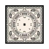 LENÇO DE SEDA MAITÊ PAISLEY BRANCO E PRETO