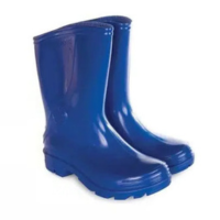 Bota Sete Léguas Impermeável Pvc Azul Capataz Galocha - Alpargatas