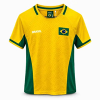 Camiseta Torcedor Brasil Bandeira Copa Do Mundo Braziline