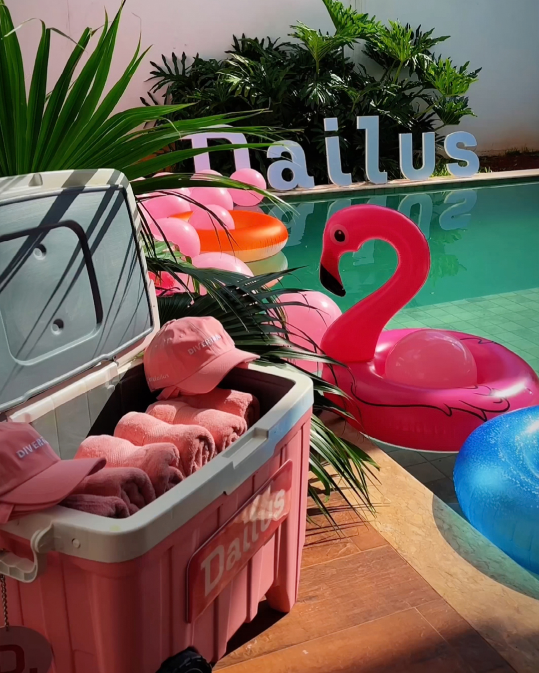Marketing de experiência à beira da piscina com boias rosa, cooler com toalhas e bonés. Texto: Dailus DIVERIDA