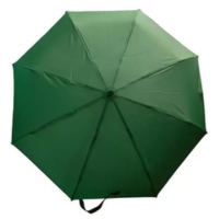 Sombrinha All Fiber Automático Guarda-chuva Fazzoletti 576 Cor Verde