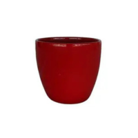 Vaso T.S. Brasil Genoa Modelo D14 A13 Vermelho
