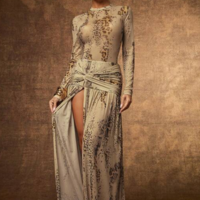 Haute Vestido Longo Sexy para Noite com Mangas Longas Transparentes em Tela