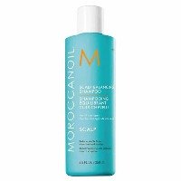 Shampoo Moroccanoil Tratamento Couro Cabeludo