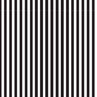 Papel de parede vertical preto